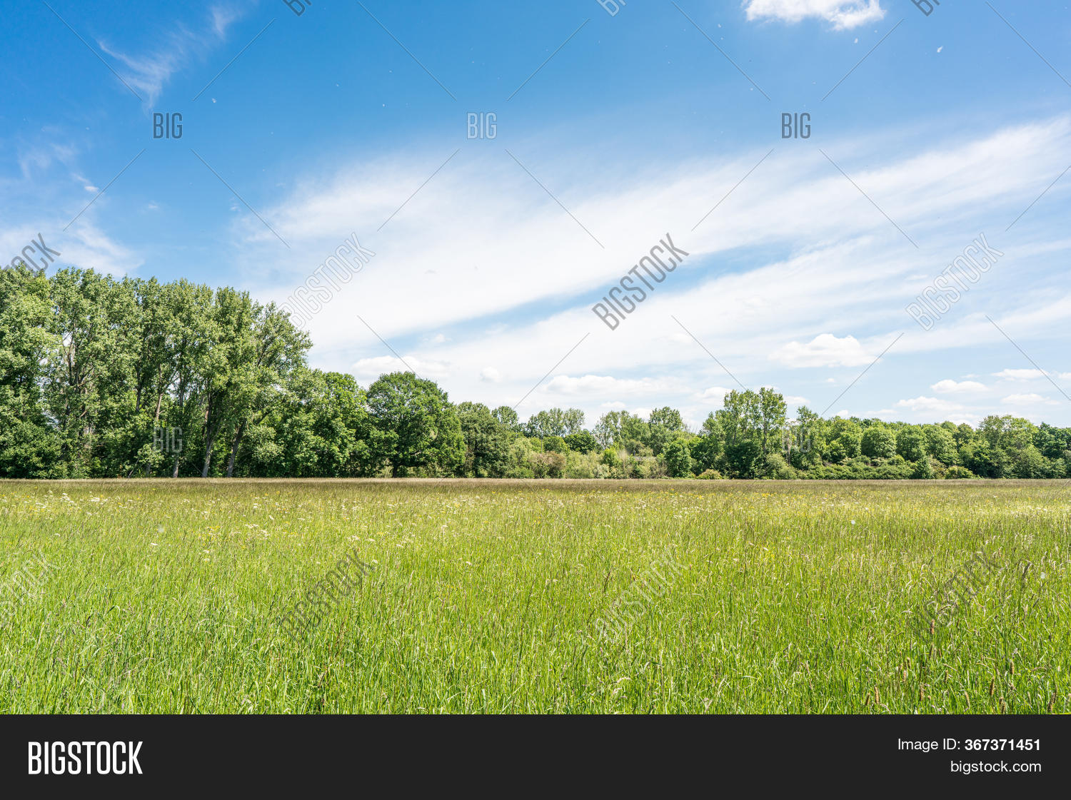 View Over Meadows Near Image & Photo (Free Trial) Bigstock