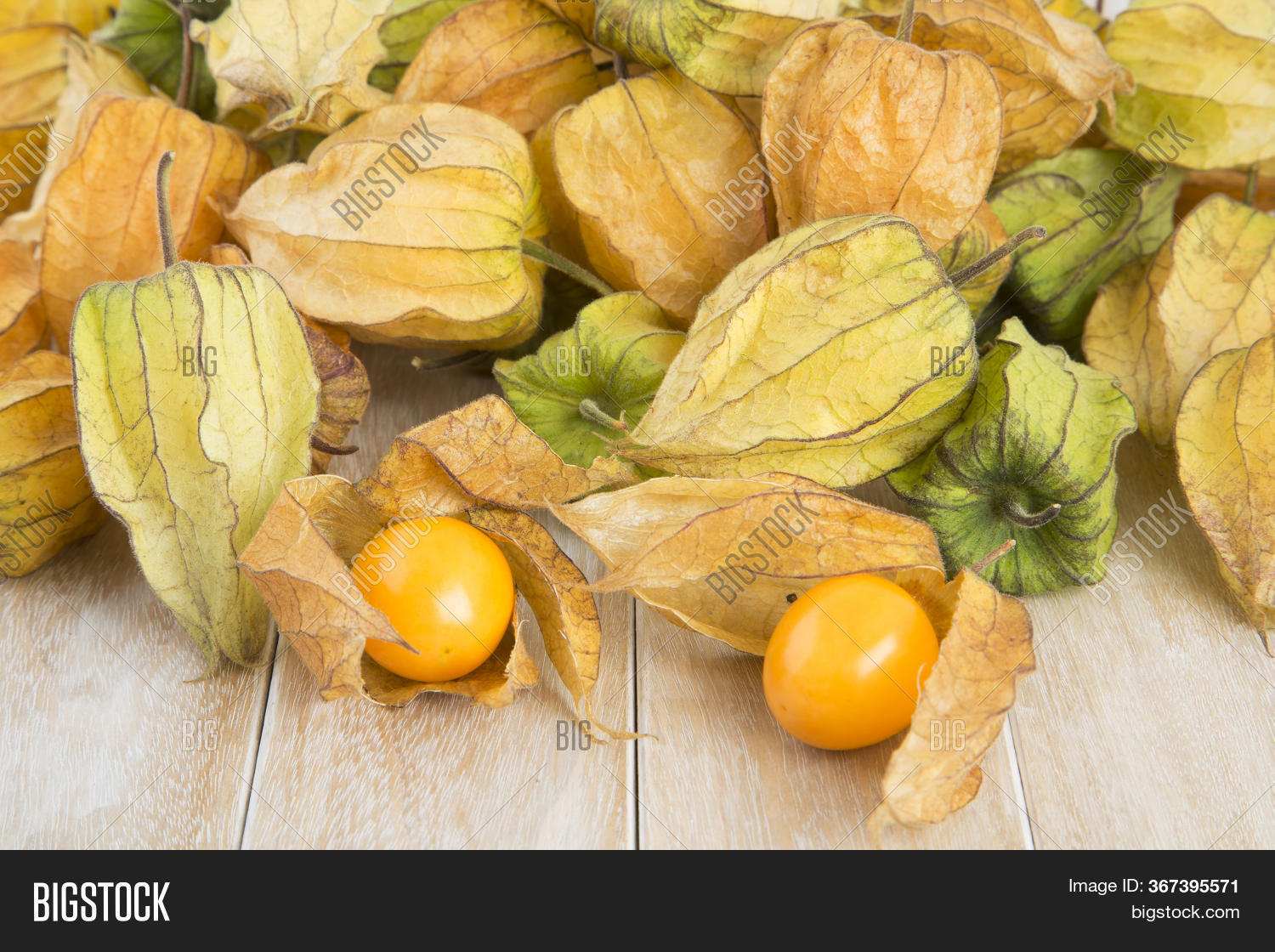 Golden Berry, Tropical Image & Photo (Free Trial) Bigstock
