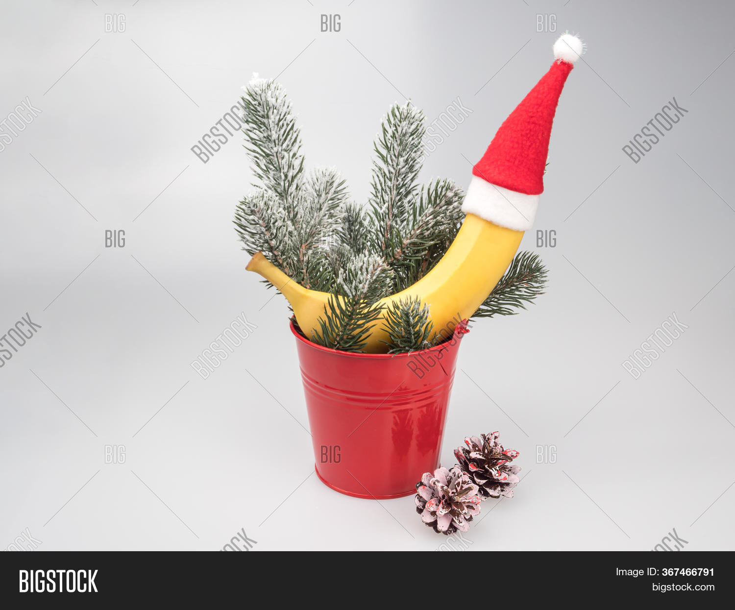 Banana Santa Hat Image & Photo (Free Trial) Bigstock