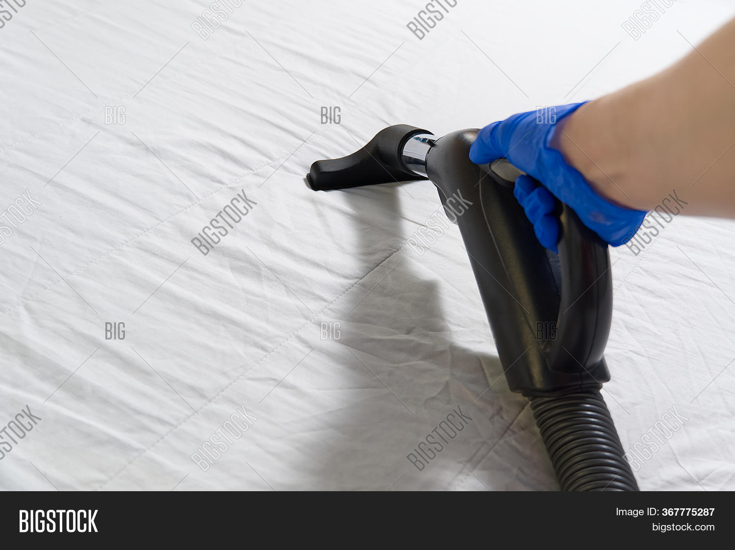 Vacuuming Bed. Image & Photo (Free Trial) Bigstock