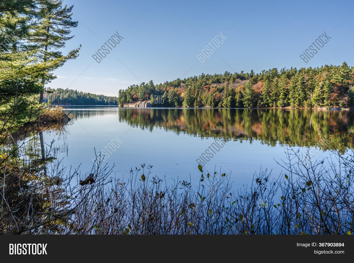 Forest Lake Killarney Image & Photo (Free Trial) Bigstock