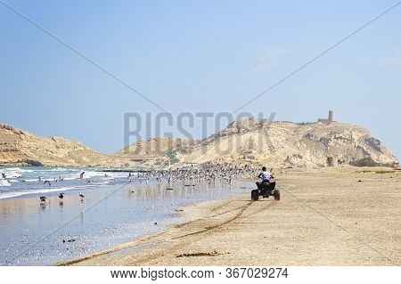 Al Sawadi Beach, Oman. Circa February, 2020. A Quad Bike Rider Rides Along The Beach Waves As Seagul
