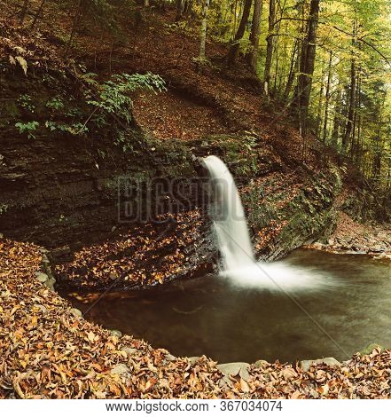 Autumn Mountain Waterfall Stream In The Rocks With Colorful Red Fallen Dry Leaves, Natural Seasonal 