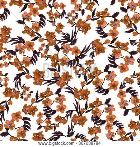 Seamless Pattern Wild Flower And Leaves On White Background. Watercolor Floral Illustration. Botanic