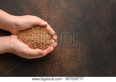 Wholegrain Spelt, Farro In Child Hands On Brown Background. Top View. Space For Text.