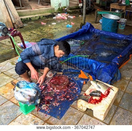 BAc Ha, Vietnam, January 3, 2020 -  Top view on the hands of a fisherman cleaning a fish fin on its working table