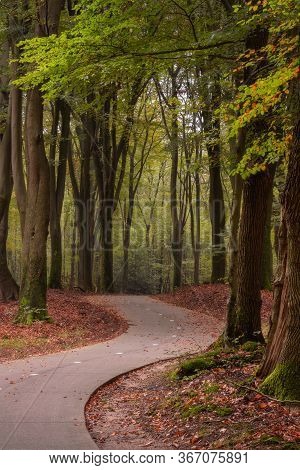 Speulderbos, Gelderland, The Netherlands - October 23, 2019 : Path For Bicycles Through The Forest
