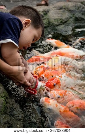 Pataya, Chonburi, Thailand, December 10 2015.this Boy Is Feeding Fish.