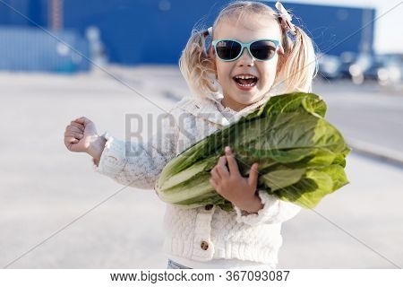 A Little Girl Of Three Years Old In A Grocery Store Or Supermarket Chooses Fresh Organic Cabbage. He