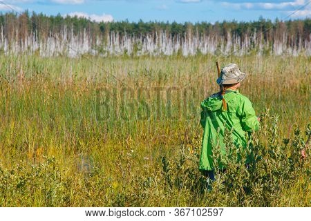 Swamp Bog Scenic Spot