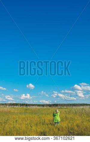 Swamp Bog Scenic Spot