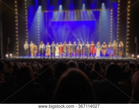 Plaudits. Spectators In The Auditorium Of One Of The Theater After The Performance. Blurred View