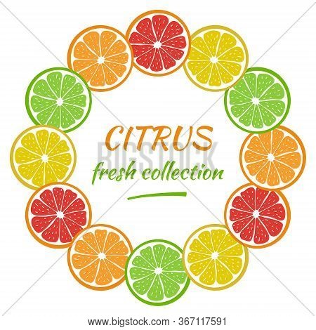 Round Frame With Sliced Pieces Of Citrus Fruit. Bright Wreath Of Tropical Fruits. Decoration For Tex