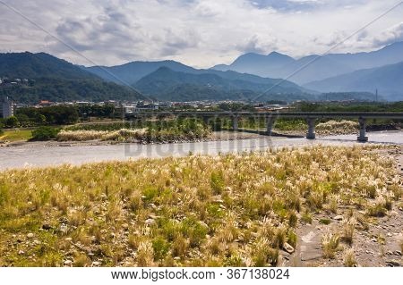bridge over river with golden miscanthus under sky