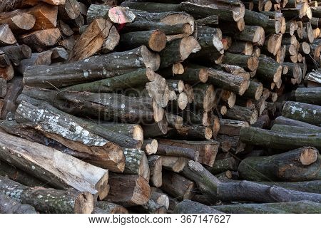 A Huge Stack Of Fire Wood. Woodpile, Cut Logs Stacked Outdoors. Firewood Piled Material Dark Backgro