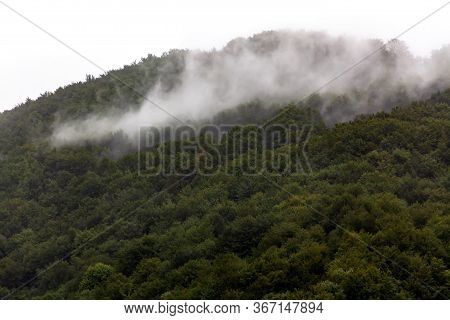 Green Forest On A Mountain, Smoke-like White Fog, Morning Mist Floating Above The Dense Woods, Cloud