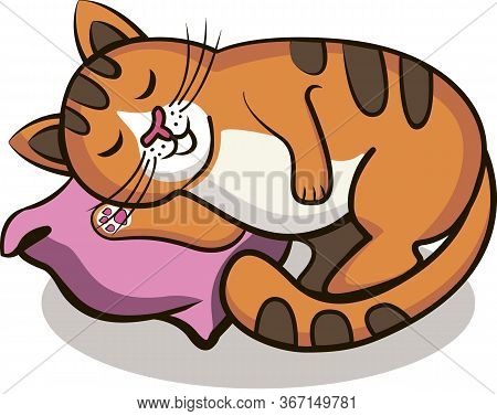 Red Cat Sleeps On A Pink Pillow.
Isolated Object For Printing On A T-shirt, Mug. Eps 10