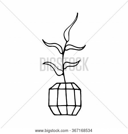 Doodle Plant In A Faceted Pot. Hand-drawn Leaves With Poly Flower Pot. Black Outline Of A Home Plant