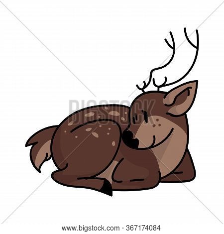 Cute Forest Deer Laying Down Animal Vector Illustration. Buck Deer With Antlers. Childlish Hand Draw