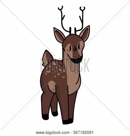 Cute Woodland Deer Vector Illustration. Buck Deer With Antlers. Childlish Hand Drawn Doodle Style. F