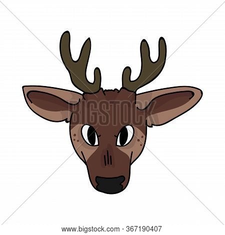 Cute Woodland Fawn Face Vector Illustration. Buck Deer With Antlers. Childlish Hand Drawn Doodle Sty