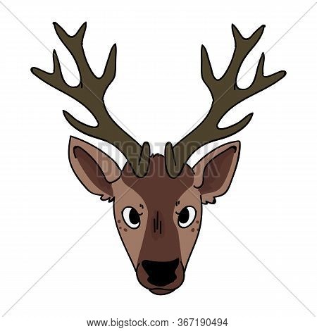 Cute Woodland Deer Face Vector Illustration. Buck Deer With Antlers. Childlish Hand Drawn Doodle Sty