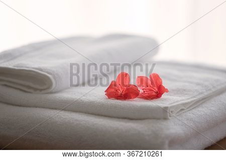 Two Red Azalea Flowers On Folded Towels And Backlight