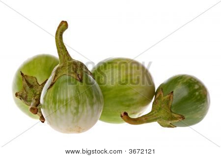 Verde Brinjals Macro