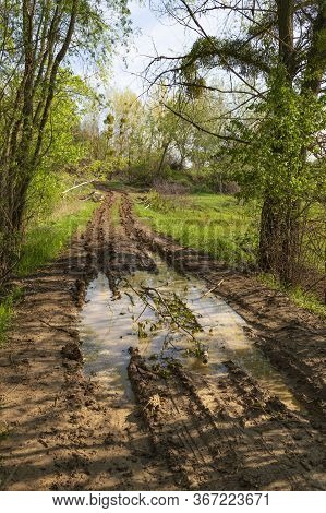 Landscape With Dirt Rural Road In Puddles Of Water Among The Green Forest. Summer Ukrainian Nature. 