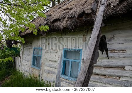 Old Vintage Rural House In Ukrainian Countryside Style. House With A Cattail Roof. The Roof Of The R