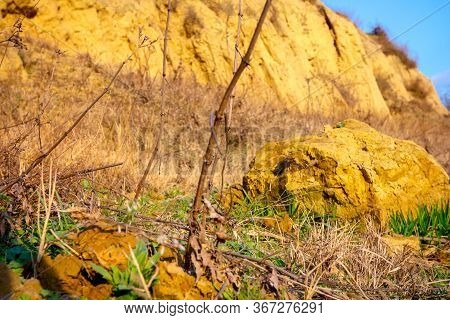 Slopes Of A Sandy Hill, Titel\'s Berg, Serbia