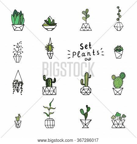 Doodle Green Plants. Hand-drawn Leaves, Succulents And Cactus With Poly Faceted Flower Pot. Outline 