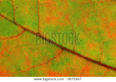 Diagonal abstrakt hösten bakgrund.