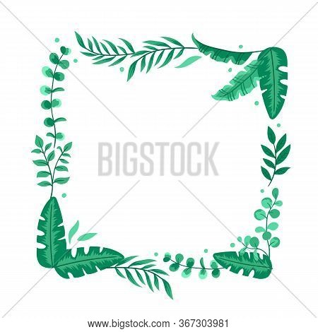 Floral Design Card With Green Eucalyptus, Tropical Leaves. Beautiful Greeny Frame. Vector Illustrati