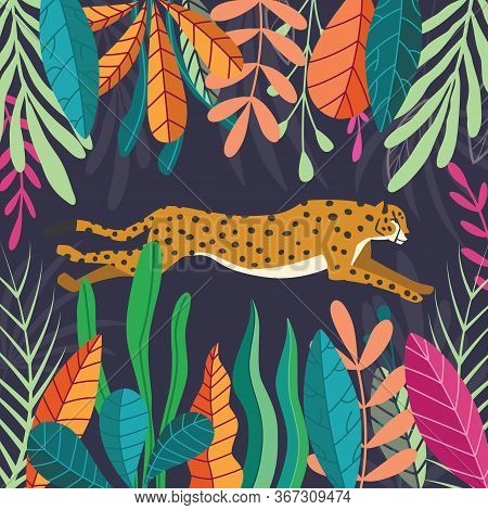 Cute Exotic Wild Big Cat Cheetah Running On Dark Tropical Background With Collection Of Exotic Plant