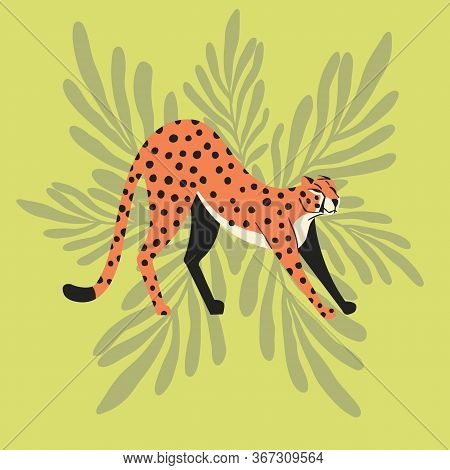 Cute Exotic Wild Big Cat Cheetah Stretching On Mint Green Tropical Background. Flat Vector Illustrat