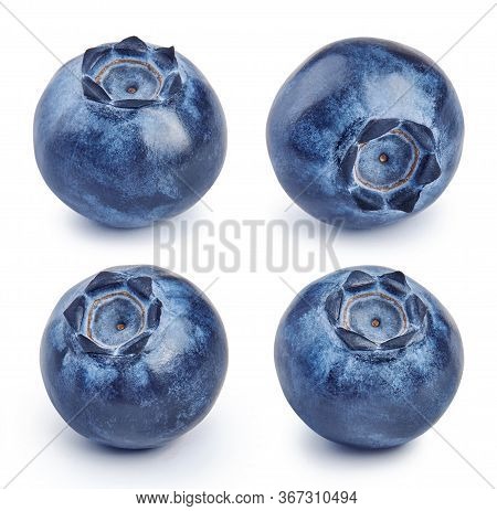 Set Of Fresh Blueberries Isolated On White Background. Collection Of Raw Bluberry.