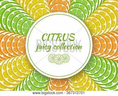 Template Of A Banner With Sliced Pieces Of Citrus Fruit. Bright Tropical Fruits. Background To Decor