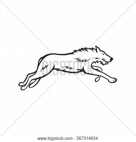 Sports Mascot Icon Illustration Of Scottish Deerhound Or The Deerhound, A Large Breed Of Hound Bred 