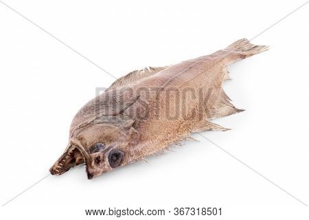 Shaped Flatfish Or Flounders (pleuronectidae) Also Known As Plaice,dab,sole Or Flukes, Isolated On W