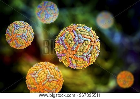 West Nile Virus, Wnv, 3d Illustration. A Virus That Is Transmitted By Mosquito And Causes West Nile 