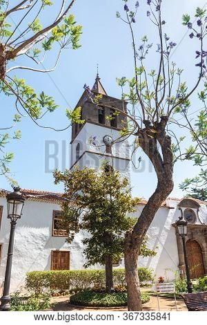 Spanish Architecture At San Marcos Church Sourrounded By Trees, Tenerife - Canary Islands