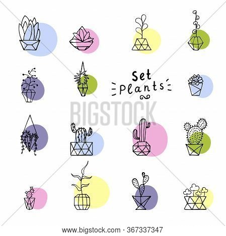 Seamless Vector Pattern Doodle Plants With Colorful Circles. Hand Drawn Leaves, Succulents And Cactu