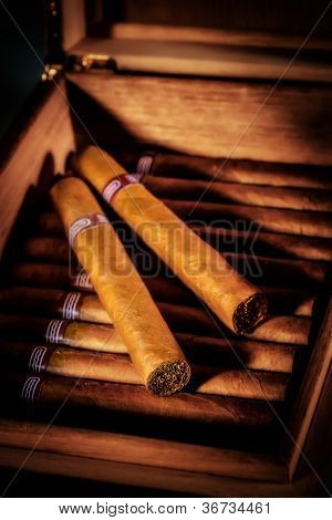 오픈 humidor 상자 시가의 까이 서