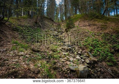 Spring Trekking Beskidy Rysianka Romanka