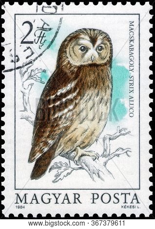 Saint Petersburg, Russia - May 17, 2020: Postage Stamp Issued In The Hungary With The Image Of The T