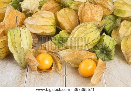 Golden Berry, Tropical Fruit Uchuva - Physalis Peruviana