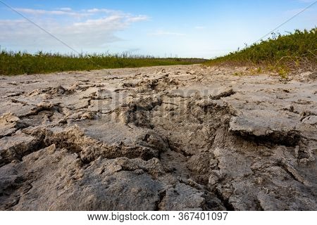 Dried Mud Pit Flanked By Pickleweed In Everglades Wilderness