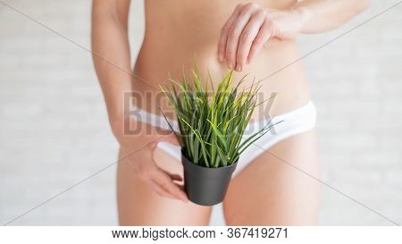 A Woman In White Panties Holds A Pot With A Bushy Plant On A Background Of Light Bricks. Bikini Zone