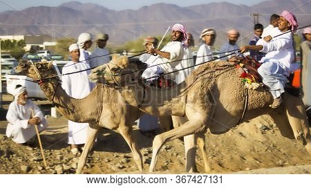 Ibri, Oman. Circa October, 2017. Two Camel Riders Race In A Traditional Camel Race Event.